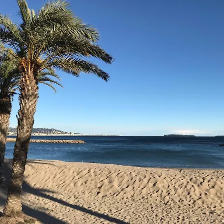 Cannes, La Palme D'or Cannes